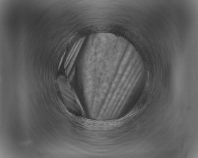 X0000053020048200507221351