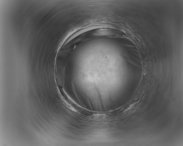 X0000053020052200507221350
