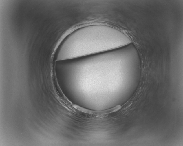 X0000053020056200507221350