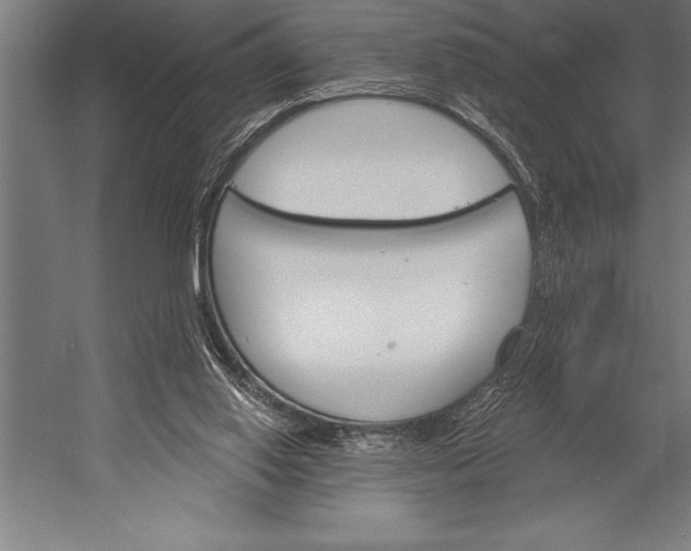 X0000053020062200507221350