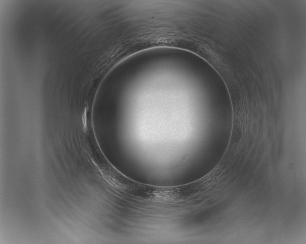 X0000053020070200507221350