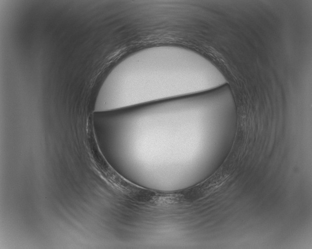 X0000053020072200507221350