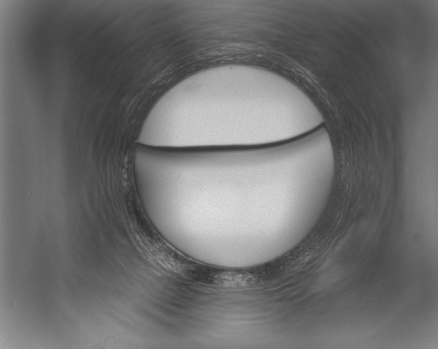 X0000053020073200507221350