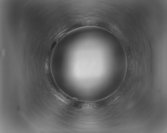 X0000053020077200507221351