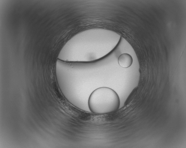 X0000053020078200507221351