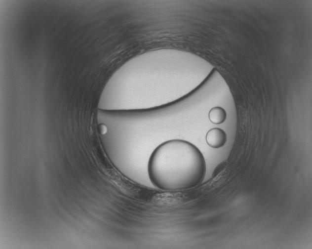 X0000053020082200507221351