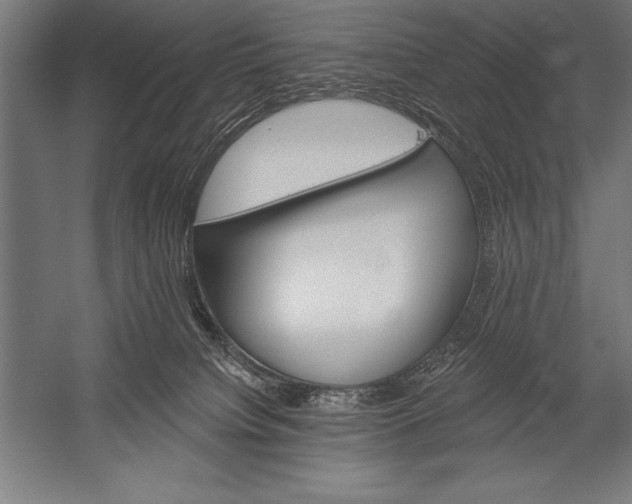 X0000053020084200507221351