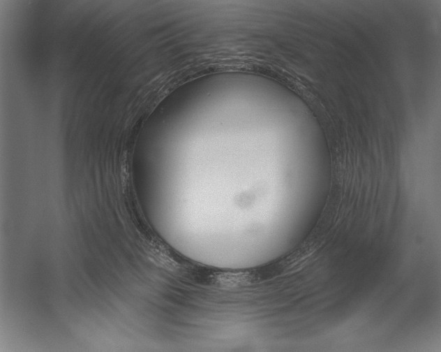 X0000053020085200507221351