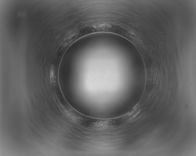 X0000053020086200507221351