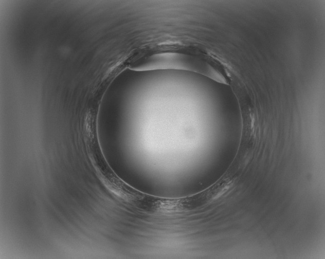 X0000053020088200507221351