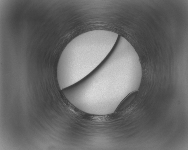 X0000053020089200507221351