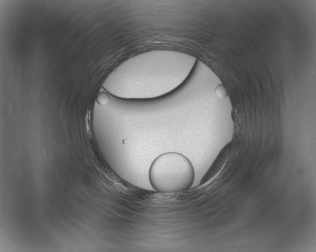 X0000053020094200507221351