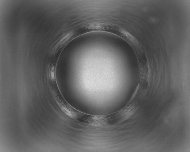 X0000053020095200507221351