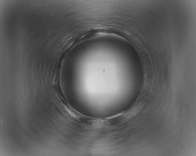 X0000053020096200507221351
