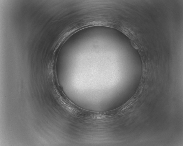 X0000053020098200507221350