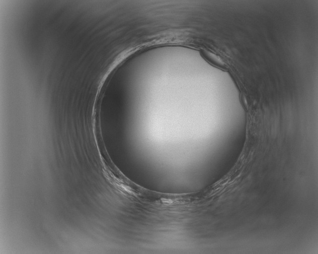 X0000053020100200507221350