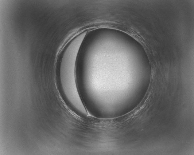 X0000053020101200507221350