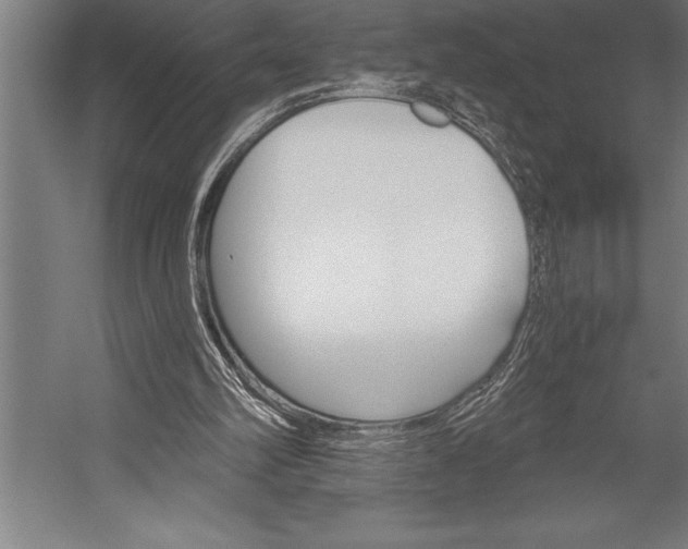 X0000053020102200507221350