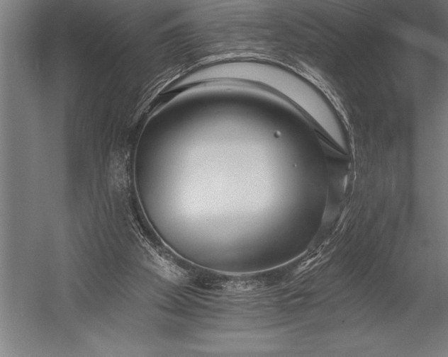 X0000053020105200507221350