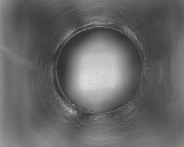 X0000053020106200507221350