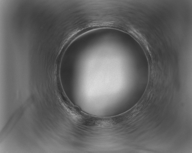 X0000053020107200507221350