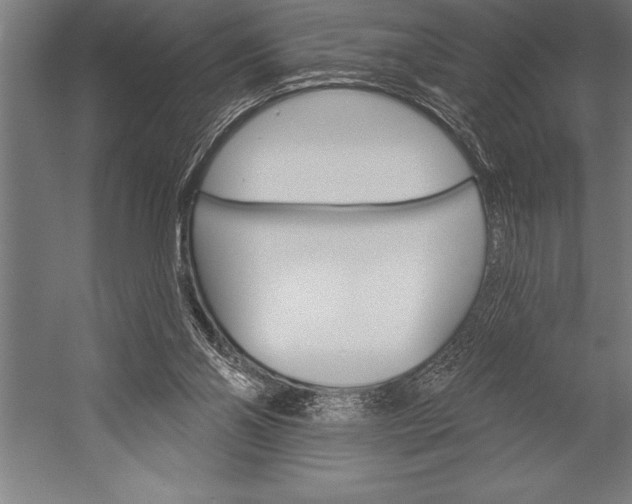 X0000053020110200507221350