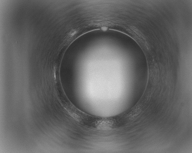 X0000053020115200507221350