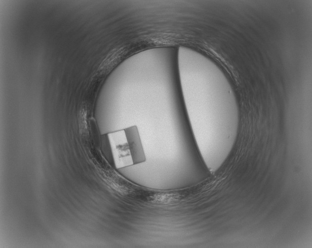 X0000053020117200507221350