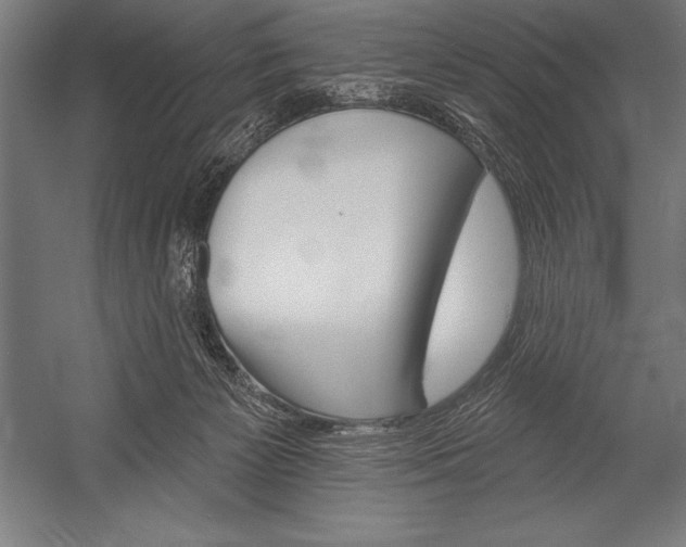 X0000053020125200507221350