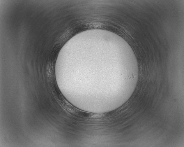 X0000053020126200507221350