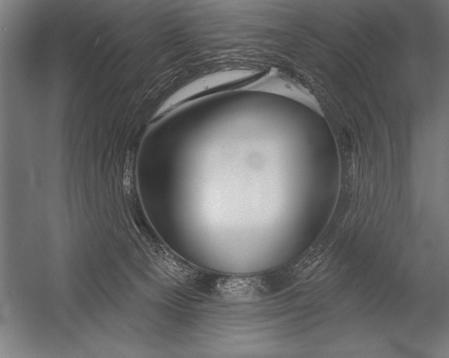 X0000053020129200507221349