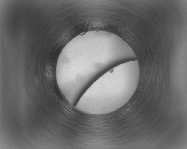 X0000053020135200507221349