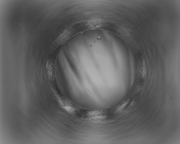 X0000053020139200507221349