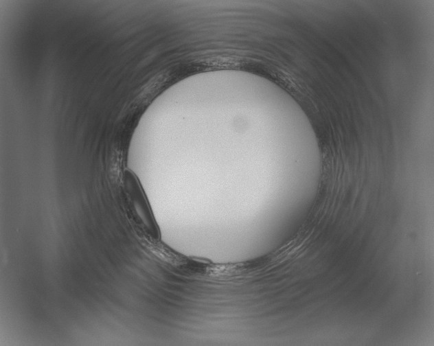 X0000053020141200507221349