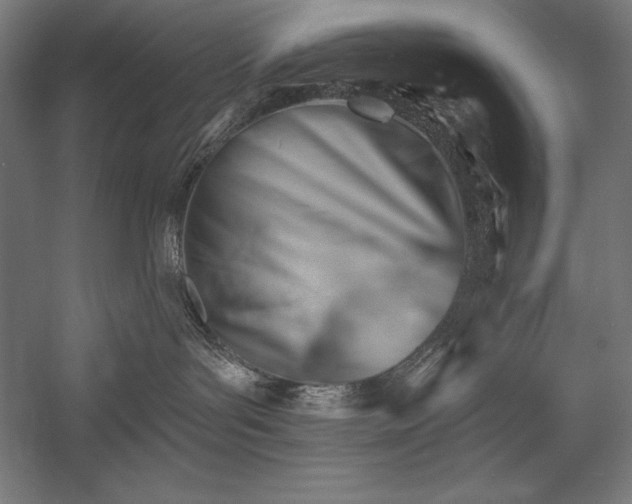 X0000053020143200507221349