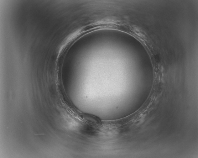 X0000053020149200507221348