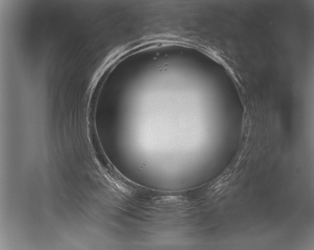 X0000053020151200507221349