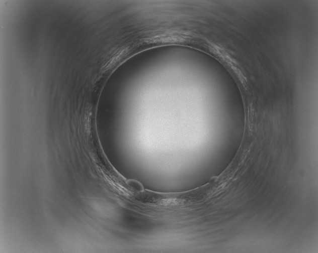 X0000053020153200507221349