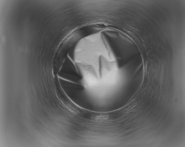 X0000053020156200507221349