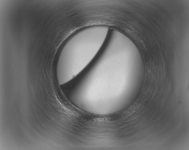 X0000053020160200507221349
