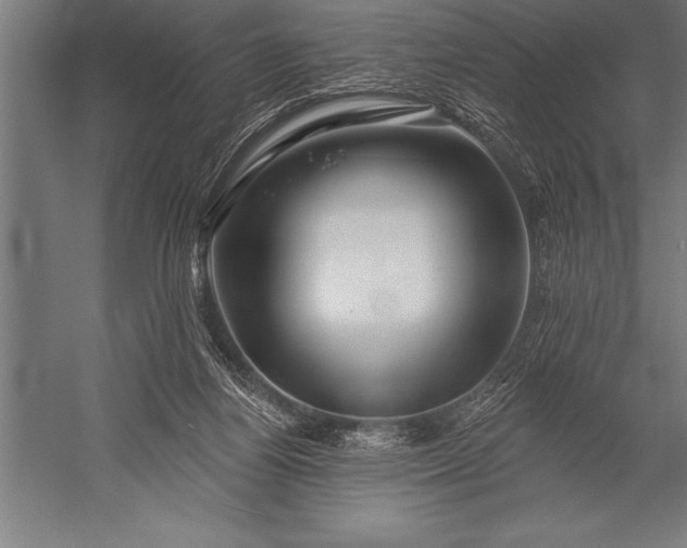 X0000053020164200507221349