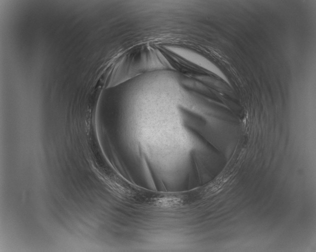 X0000053020168200507221349