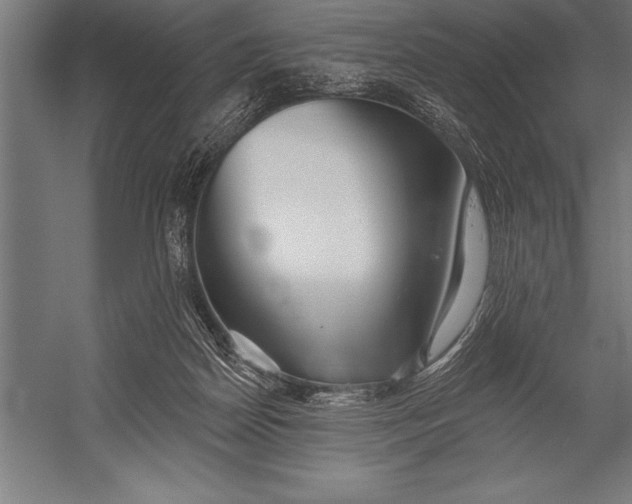 X0000053020170200507221349