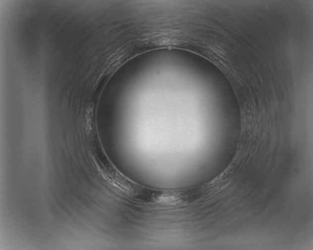 X0000053020171200507221349