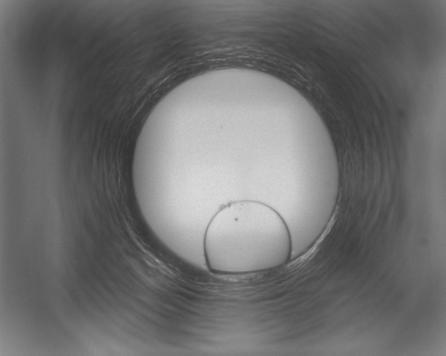 X0000053020174200507221349