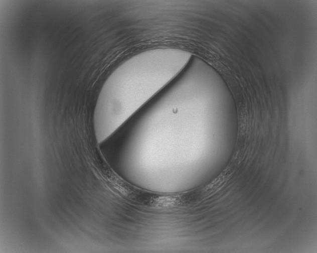 X0000053020176200507221349
