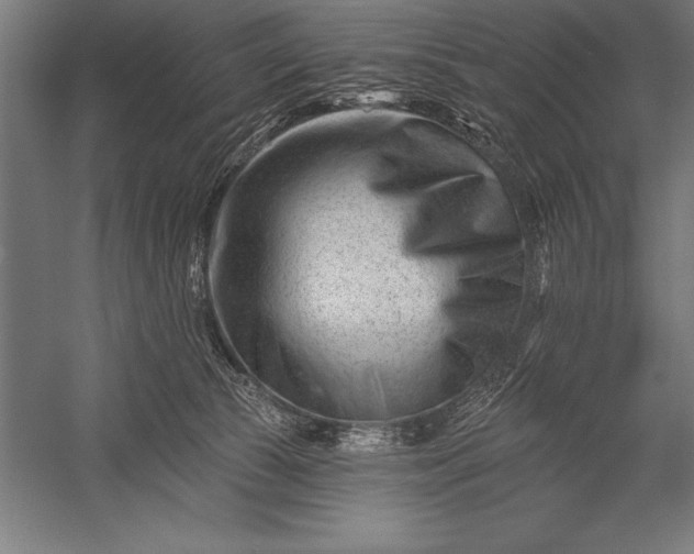 X0000053020177200507221349