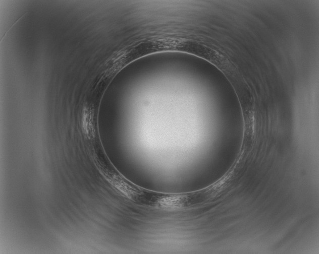 X0000053020178200507221349