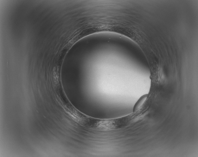 X0000053020179200507221349