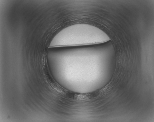 X0000053020180200507221349